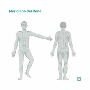 meridian pilates academy workshop meridiani energetici pilates1.jpg7